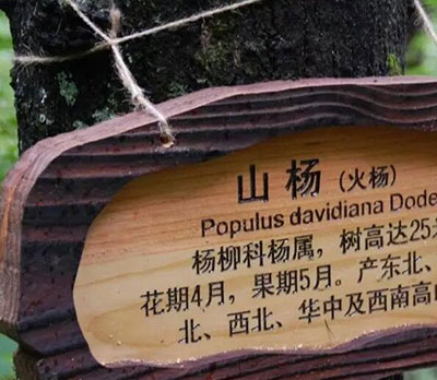 景區(qū)標識牌的樣式都有哪些,旅游景區(qū)標識牌樣式